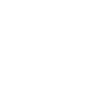 logo-ananda-blanco-anandafotografias